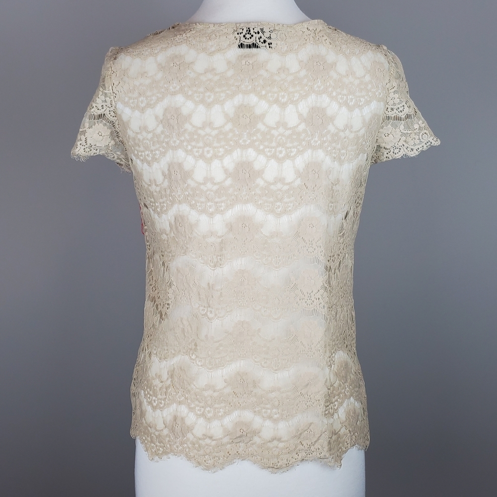 Porcelain Beige & Coral Lace Top - Picture 2 of 5